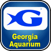 Georgia Aquarium